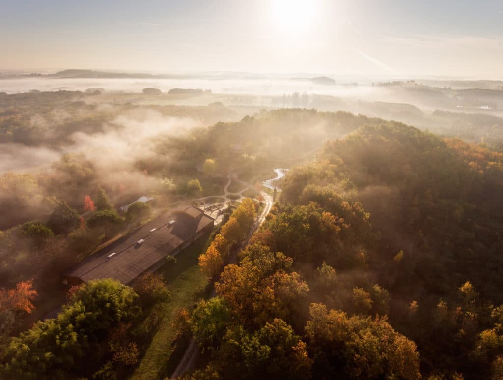 Morning light over a green valley